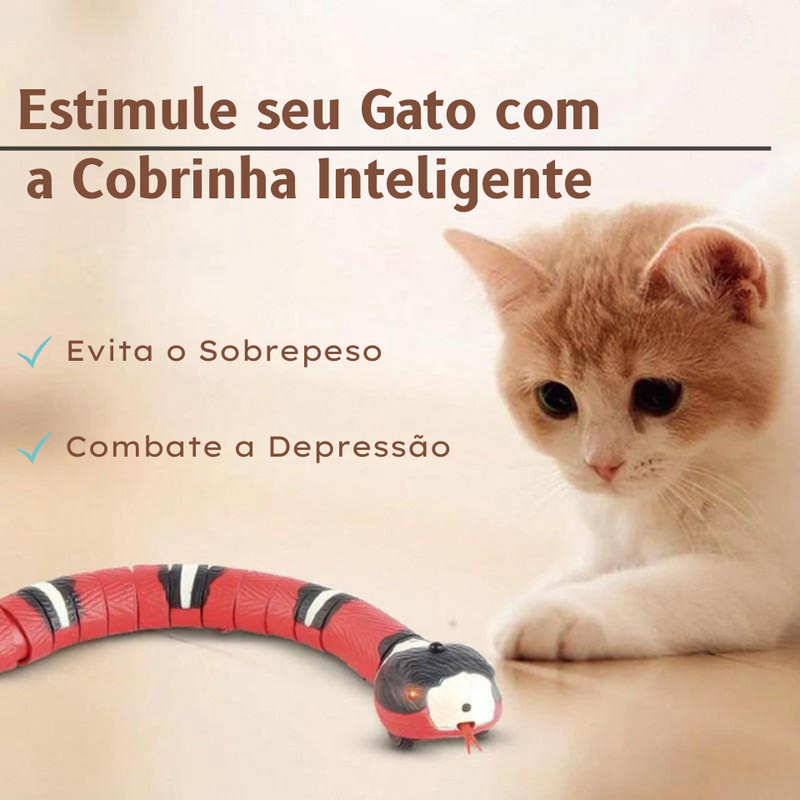 Cobrinha Inteligente